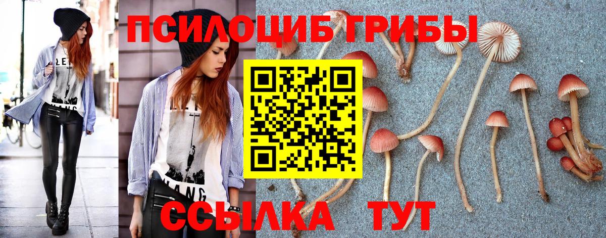 Галлюциногенные грибы мухоморы Звенигород