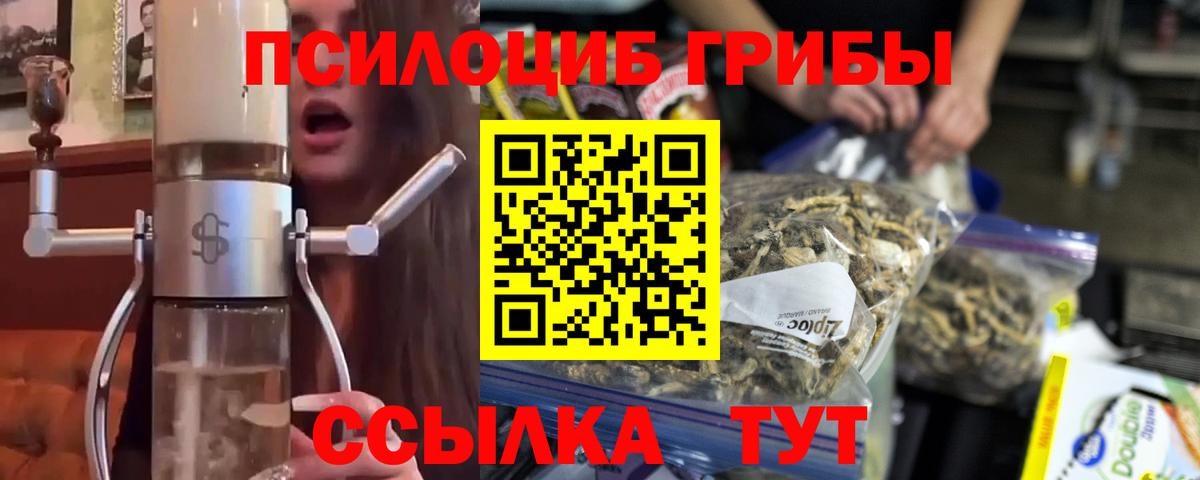 Псилоцибиновые грибы GOLDEN TEACHER  Псилоцибиновые грибы Psilocybine cubensis  Звенигород  Вход с VPN 